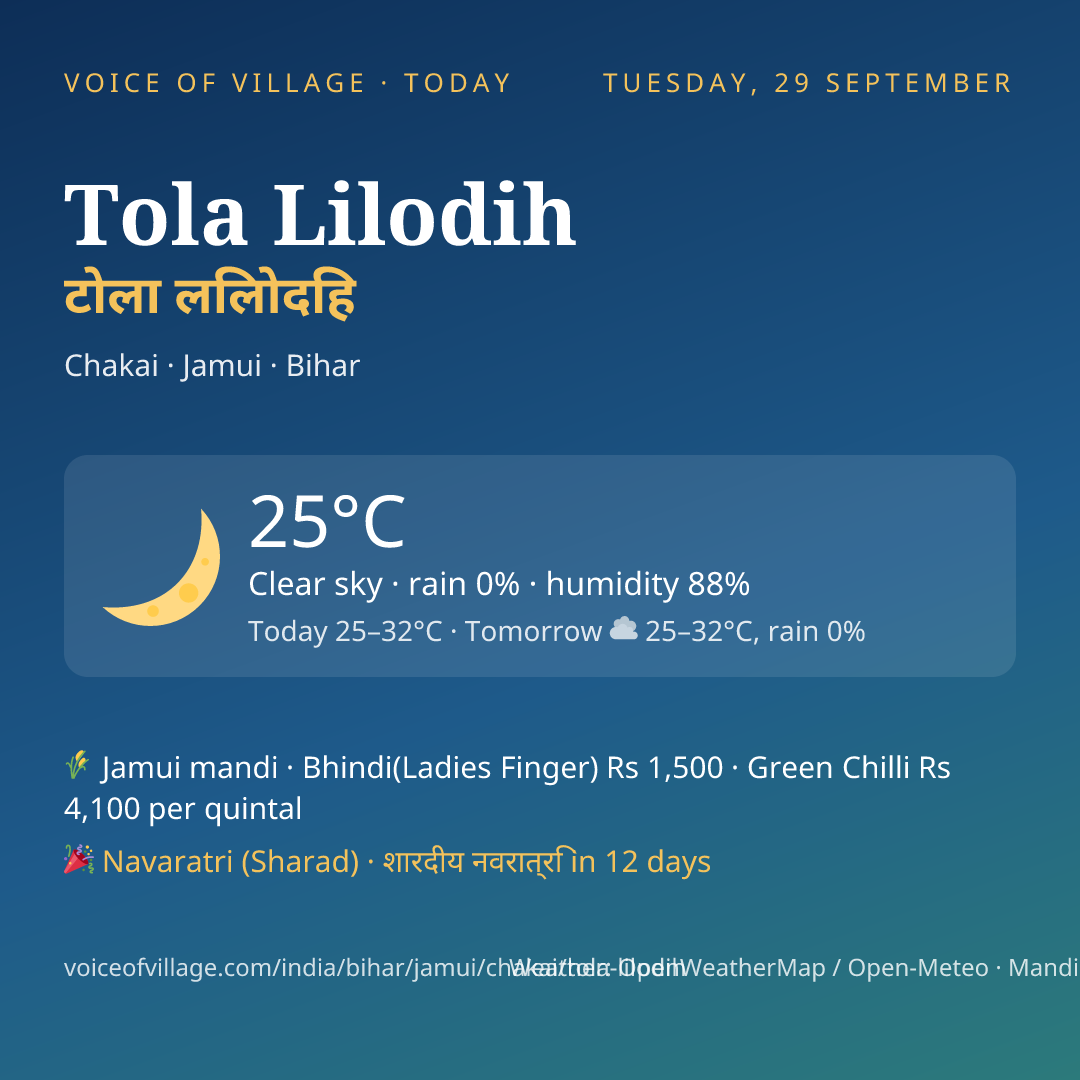 Tola Lilodih today