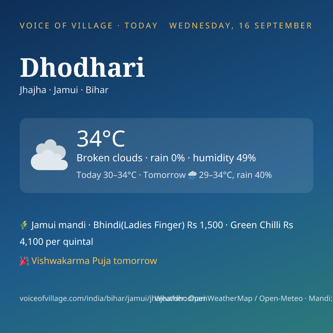 Dhodhari today