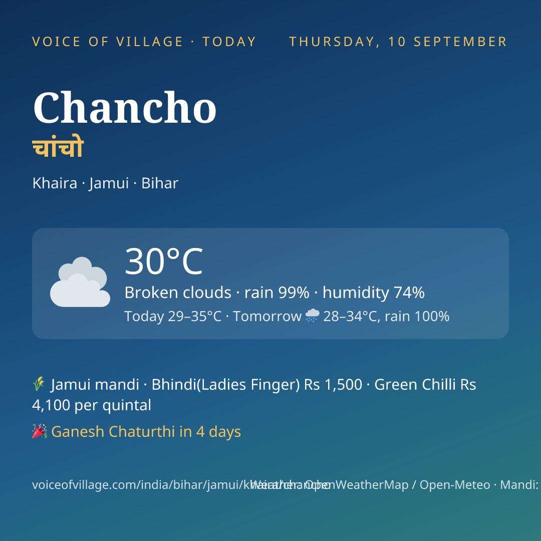 Chancho today