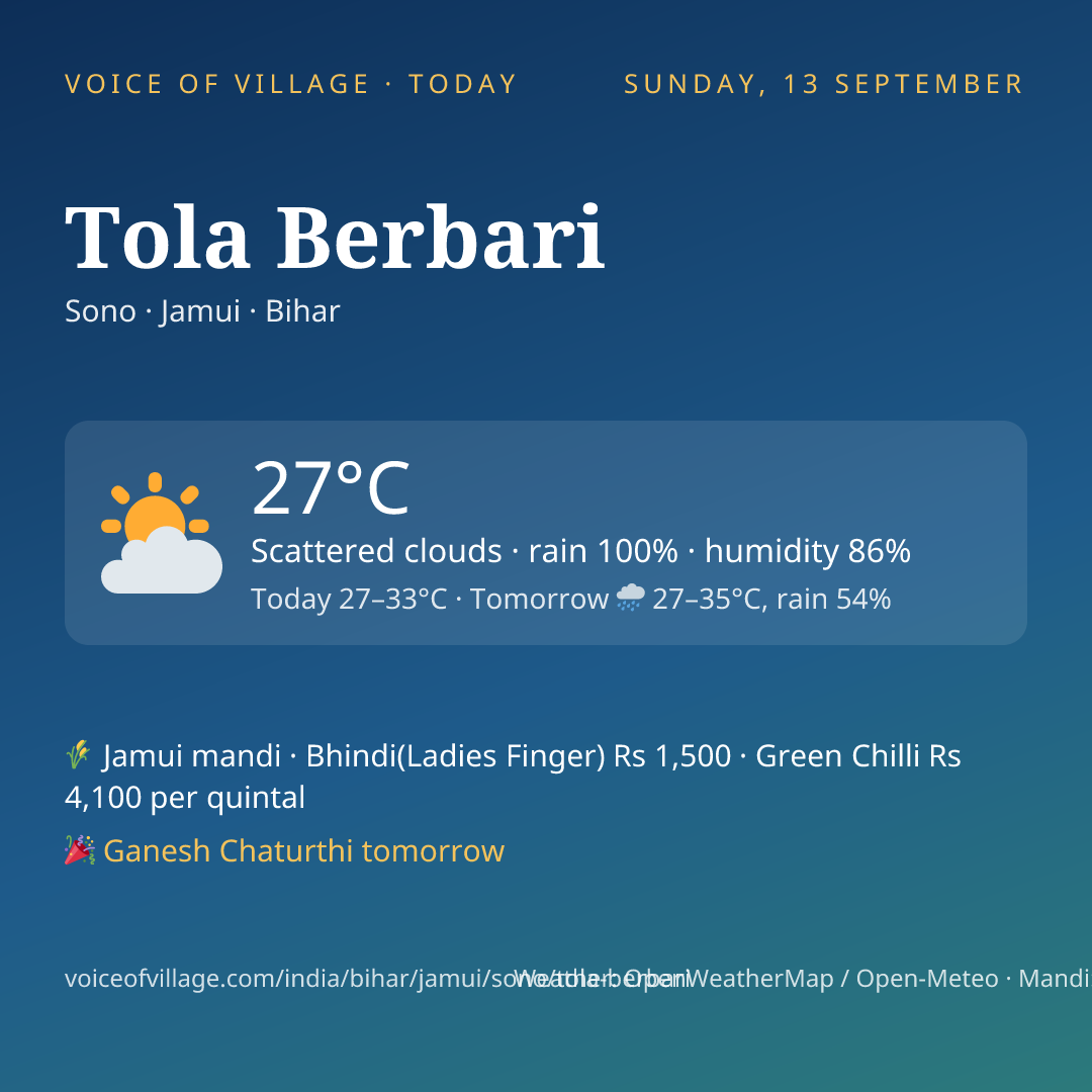 Tola Berbari today