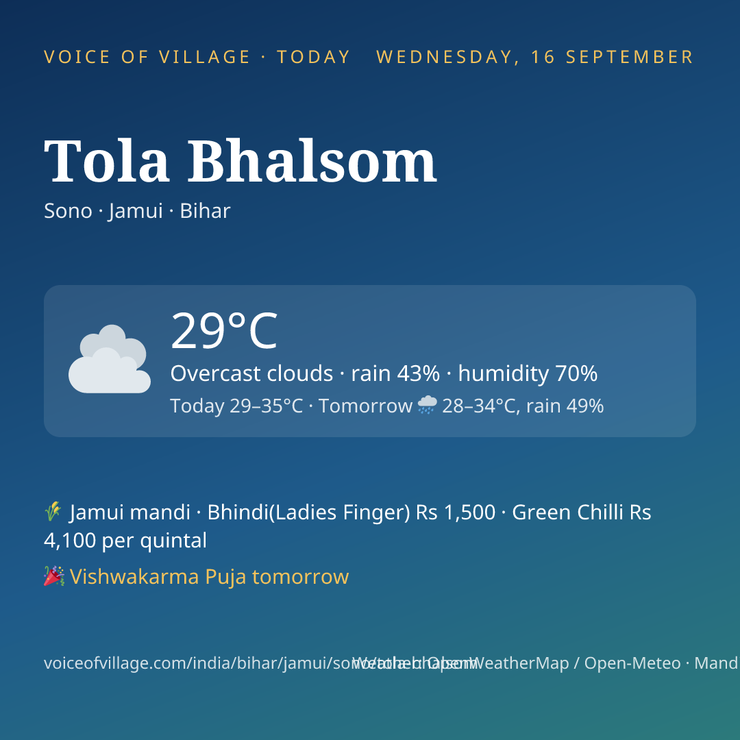 Tola Bhalsom today