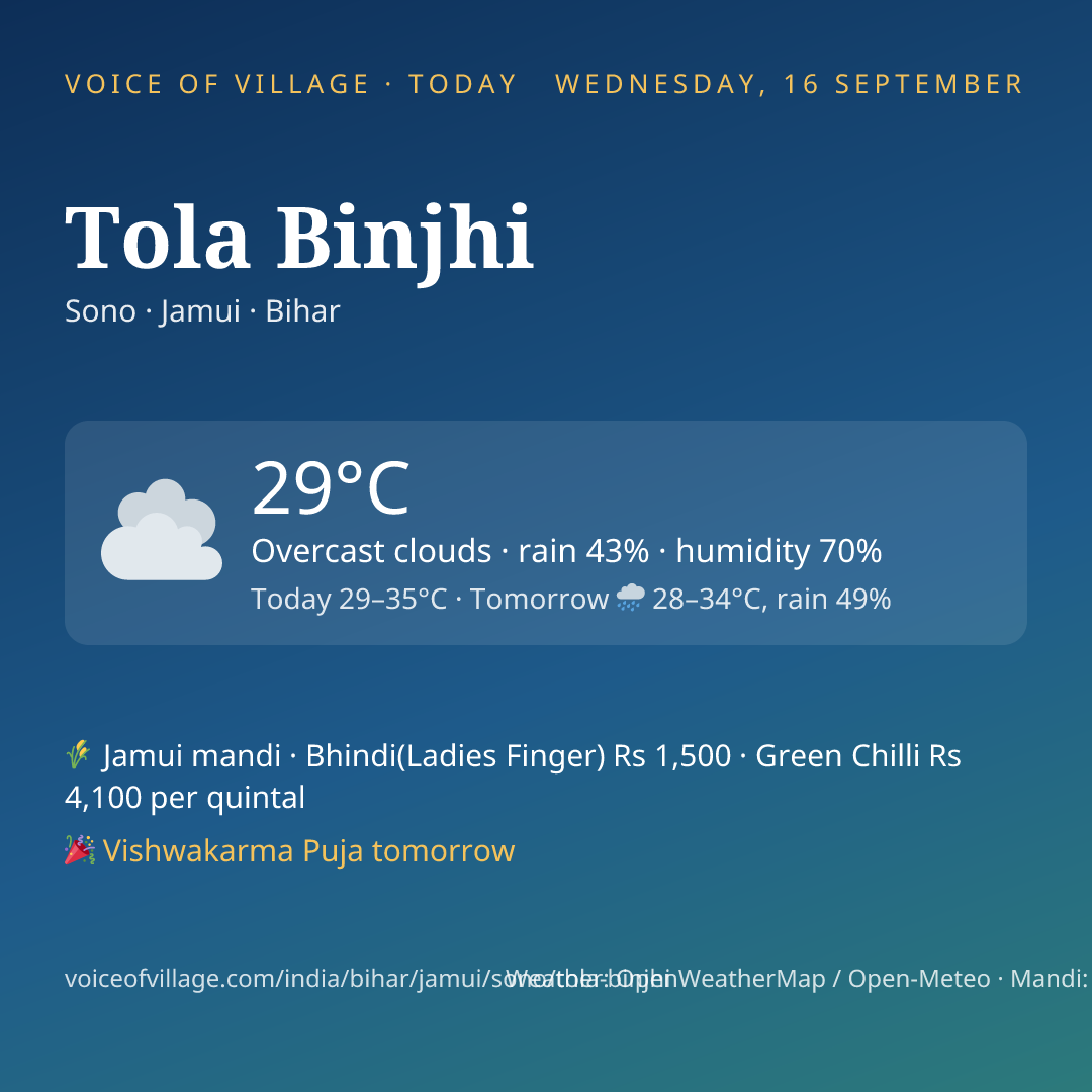 Tola Binjhi today