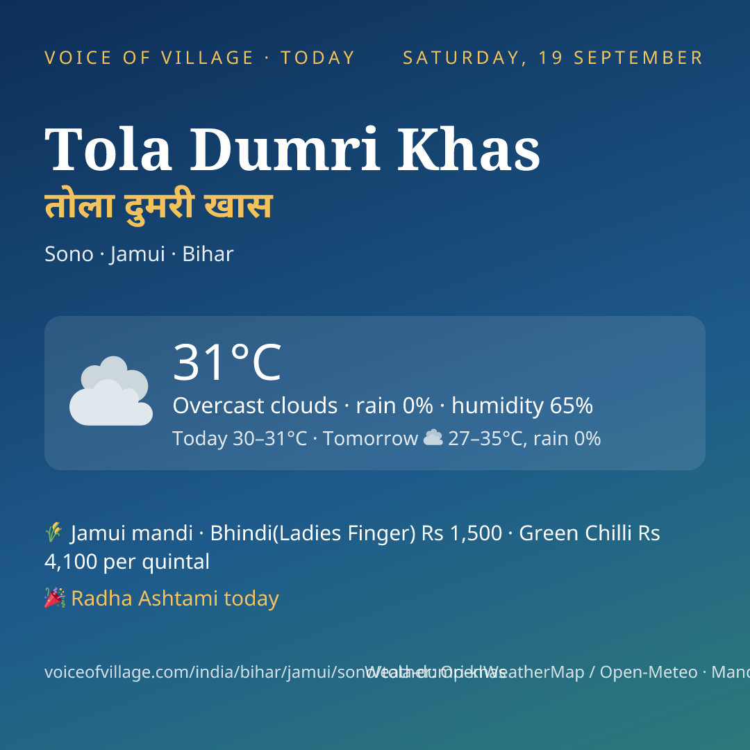 Tola Dumri Khas today