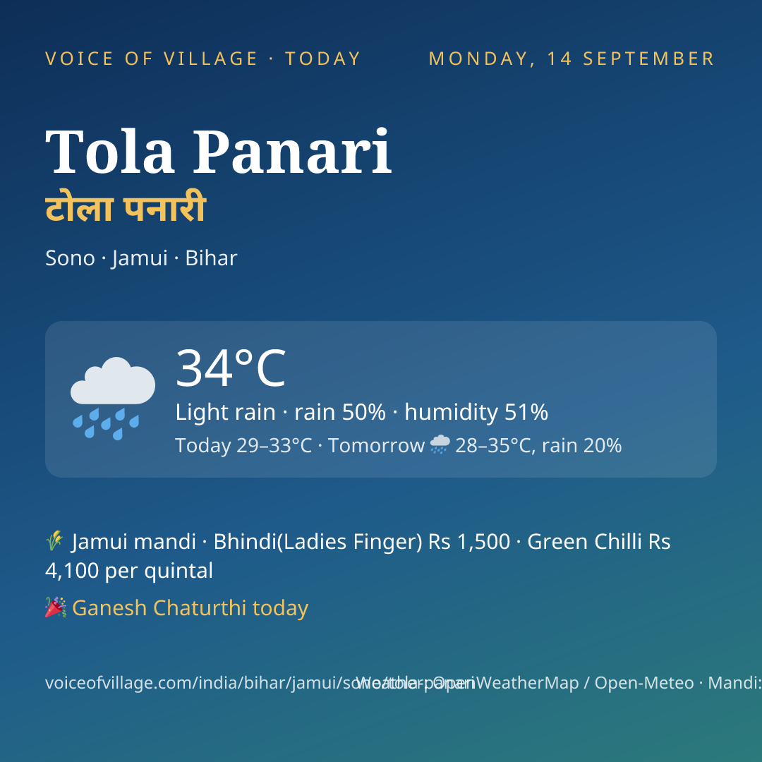 Tola Panari today