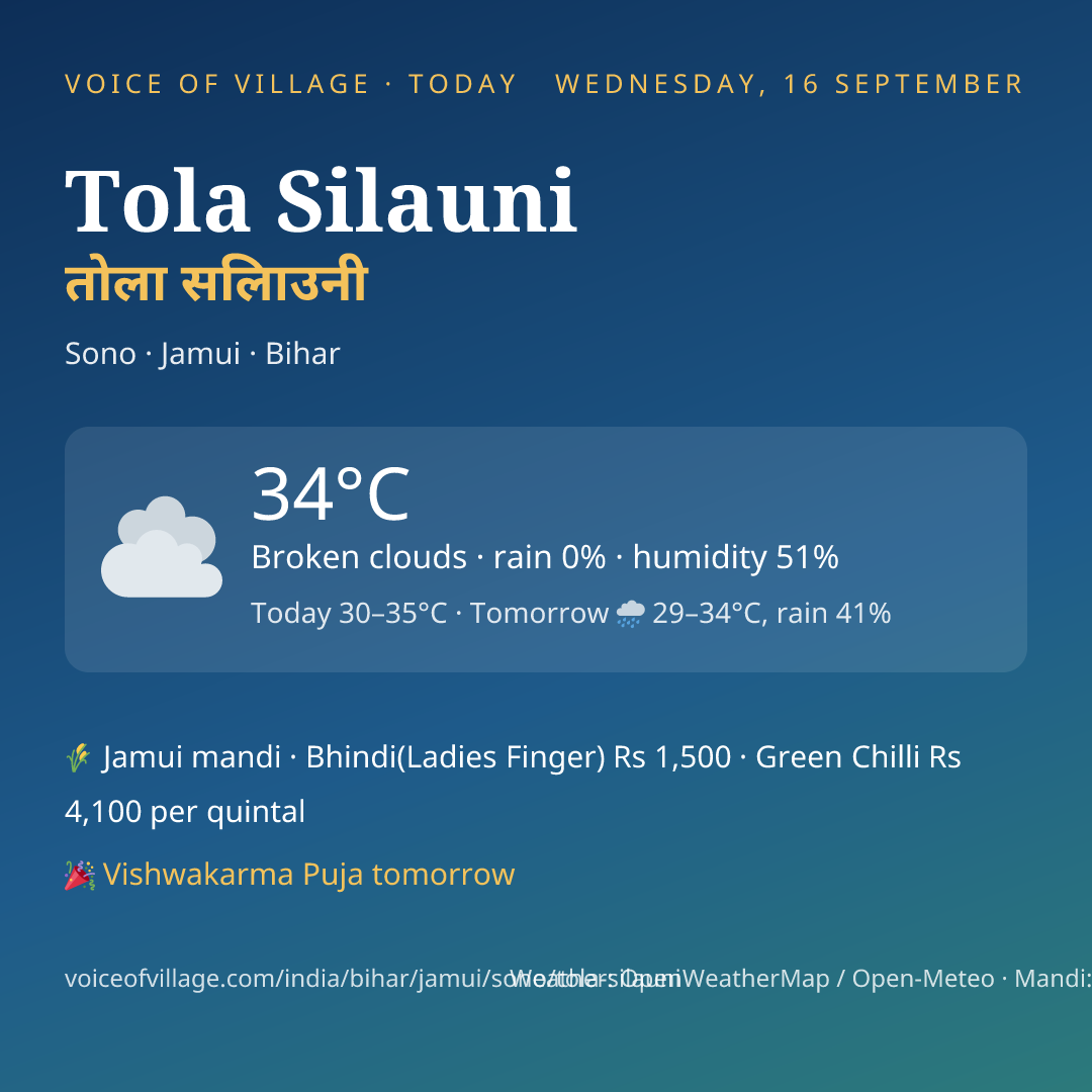 Tola Silauni today