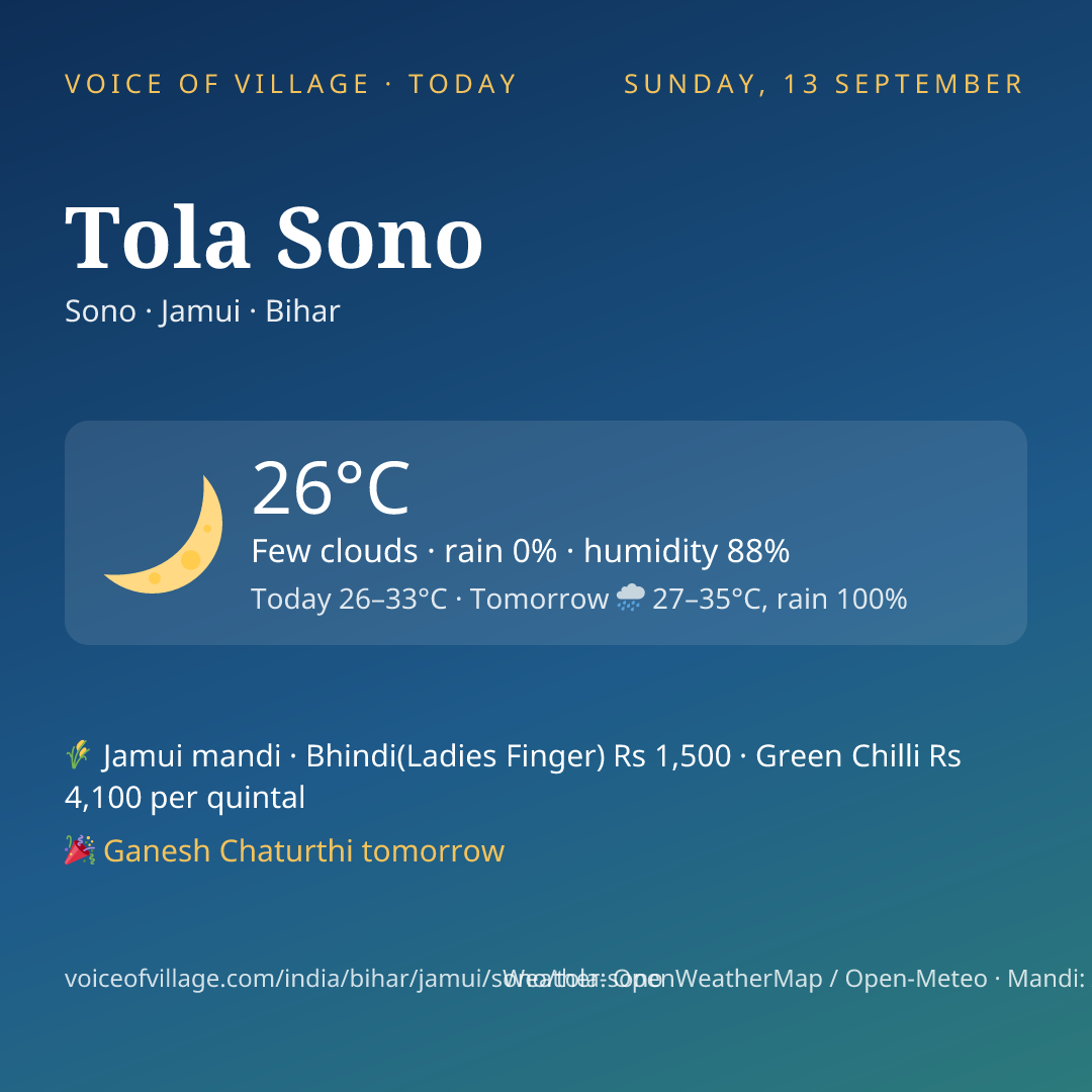 Tola Sono today