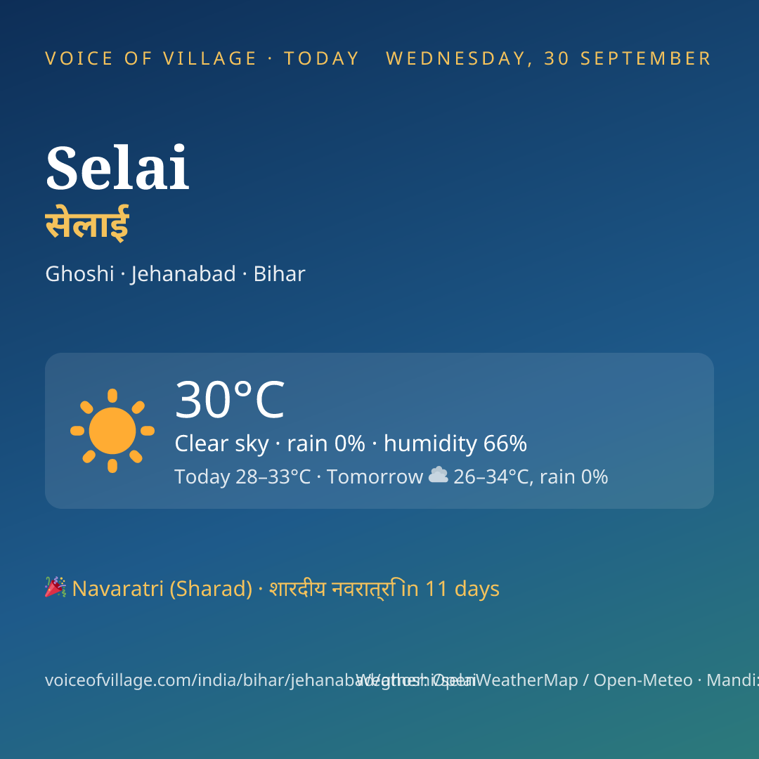Selai today