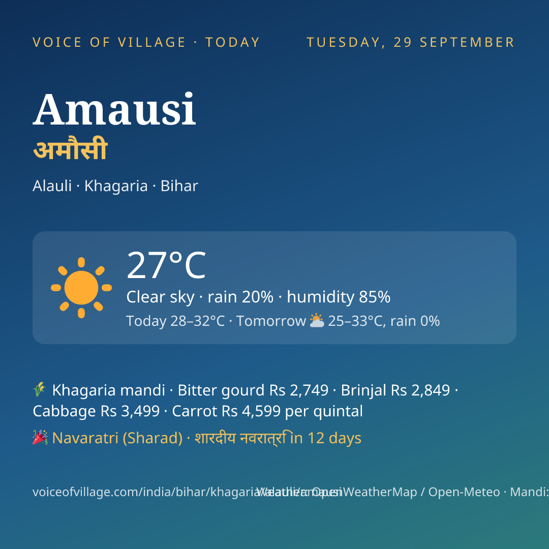 Amausi today