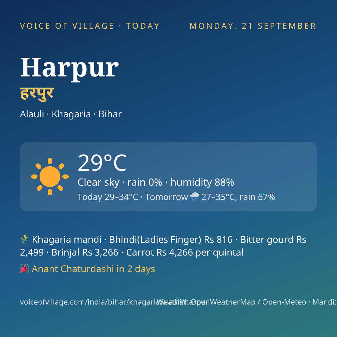 Harpur today