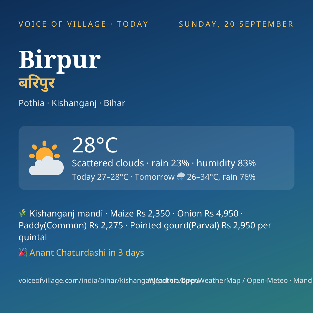 Birpur today