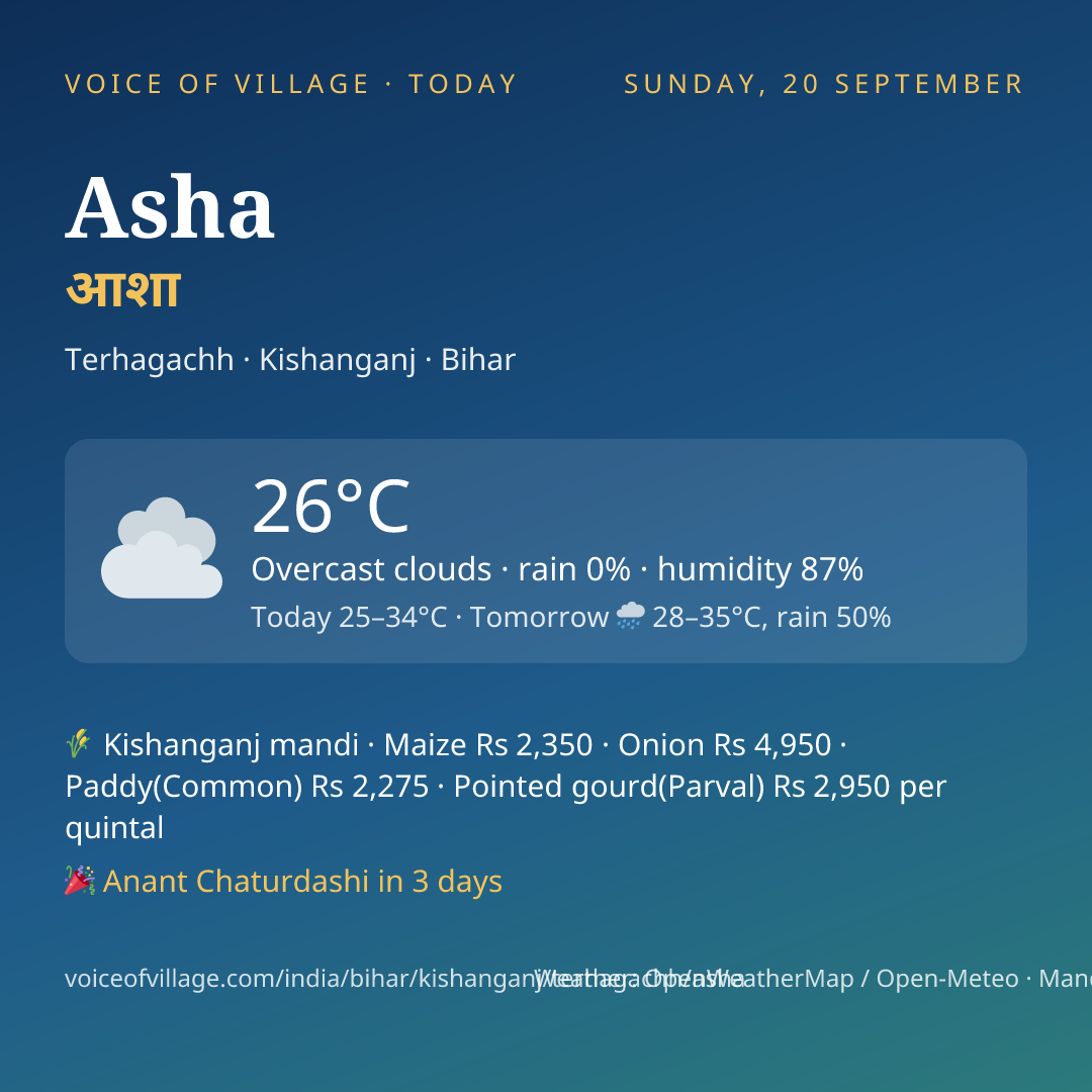 Asha today