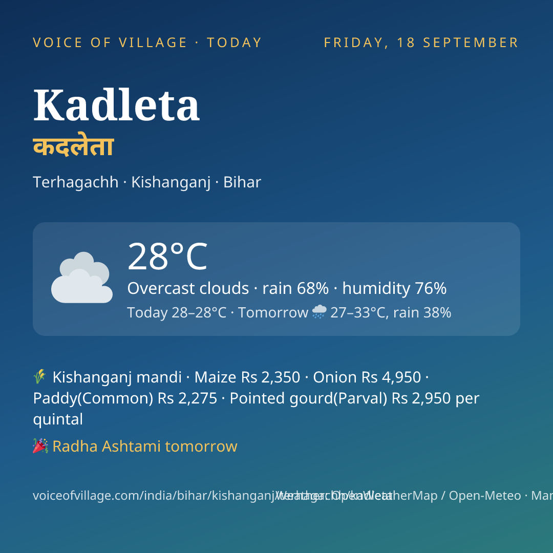 Kadleta today