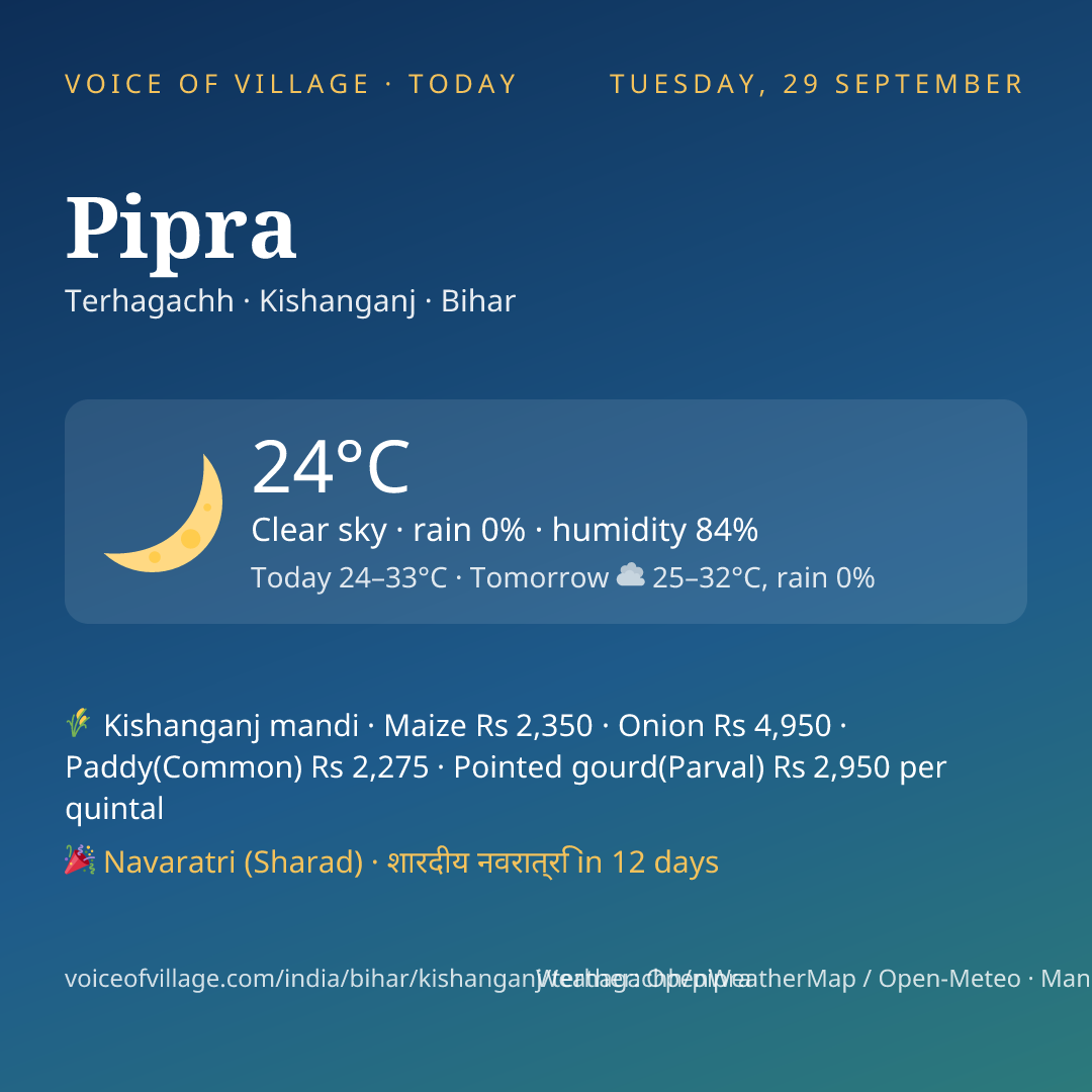 Pipra today