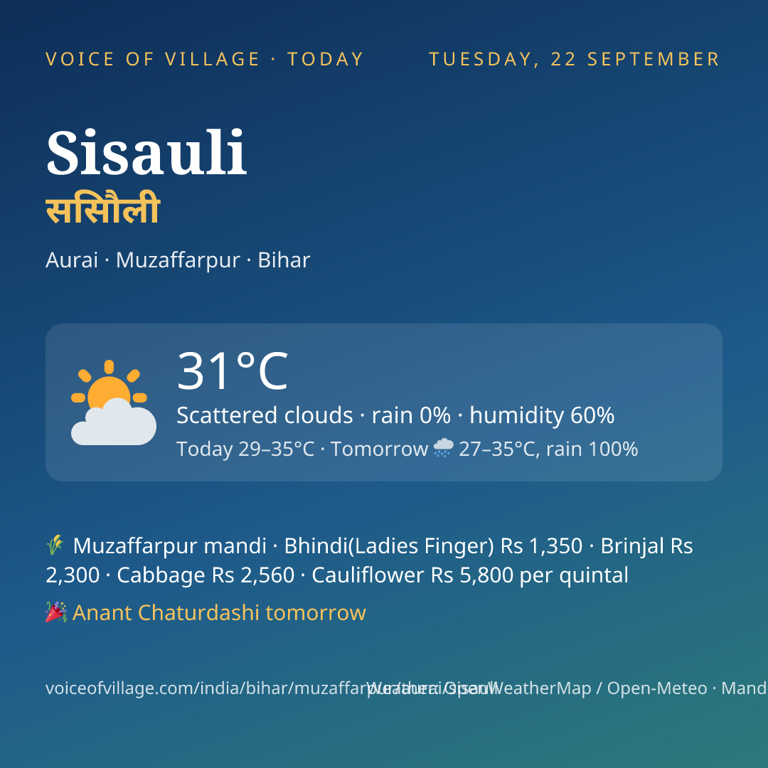 Sisauli today