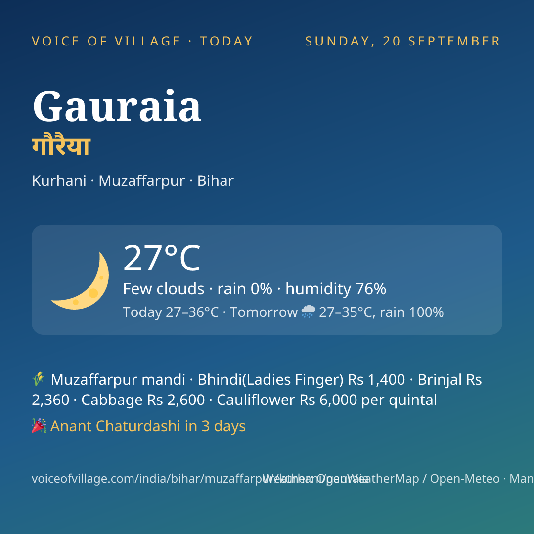 Gauraia today