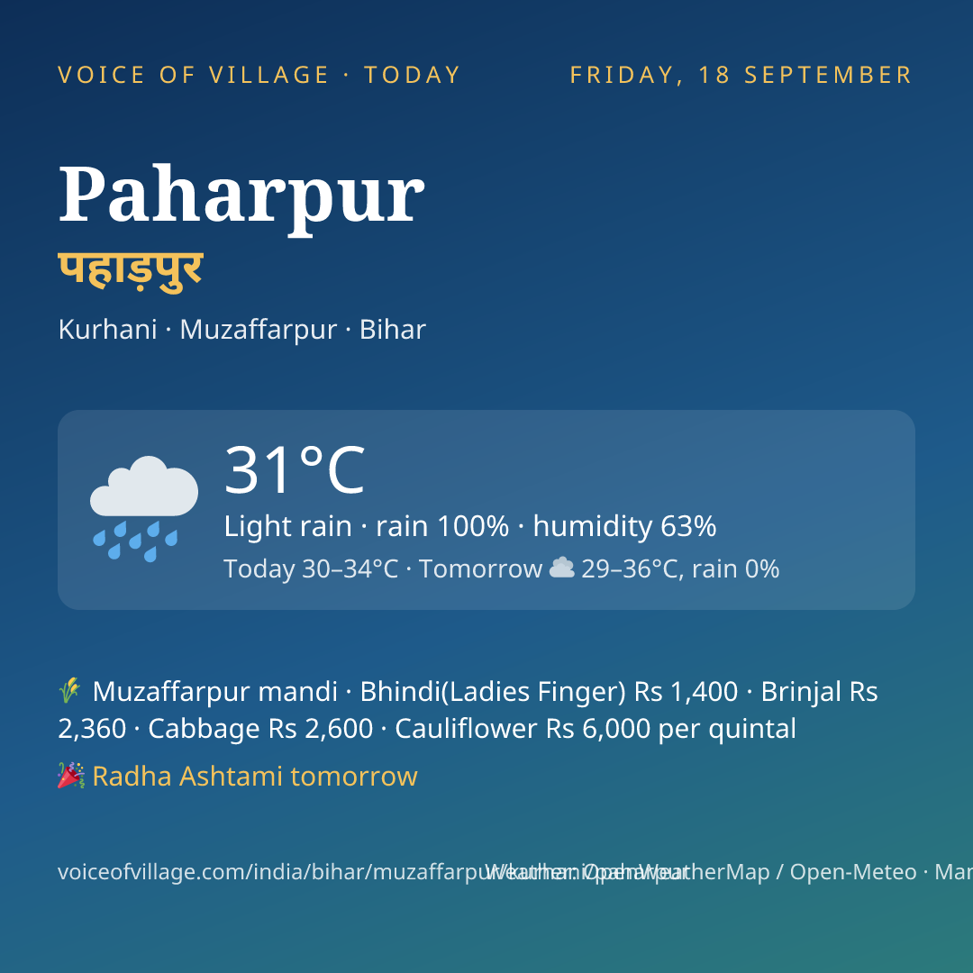 Paharpur today