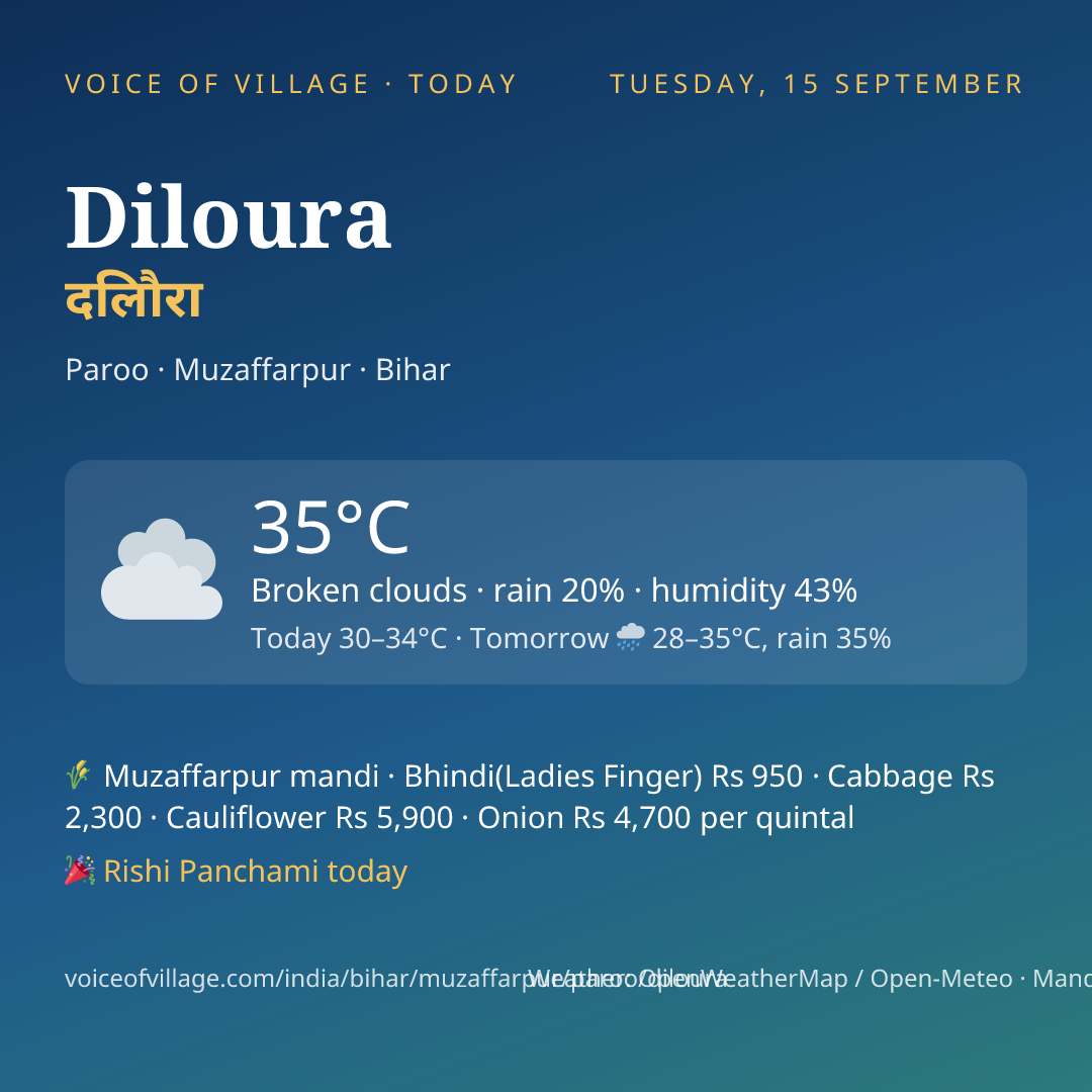 Diloura today