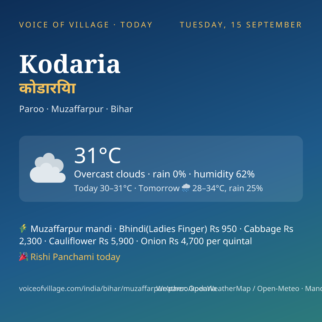Kodaria today