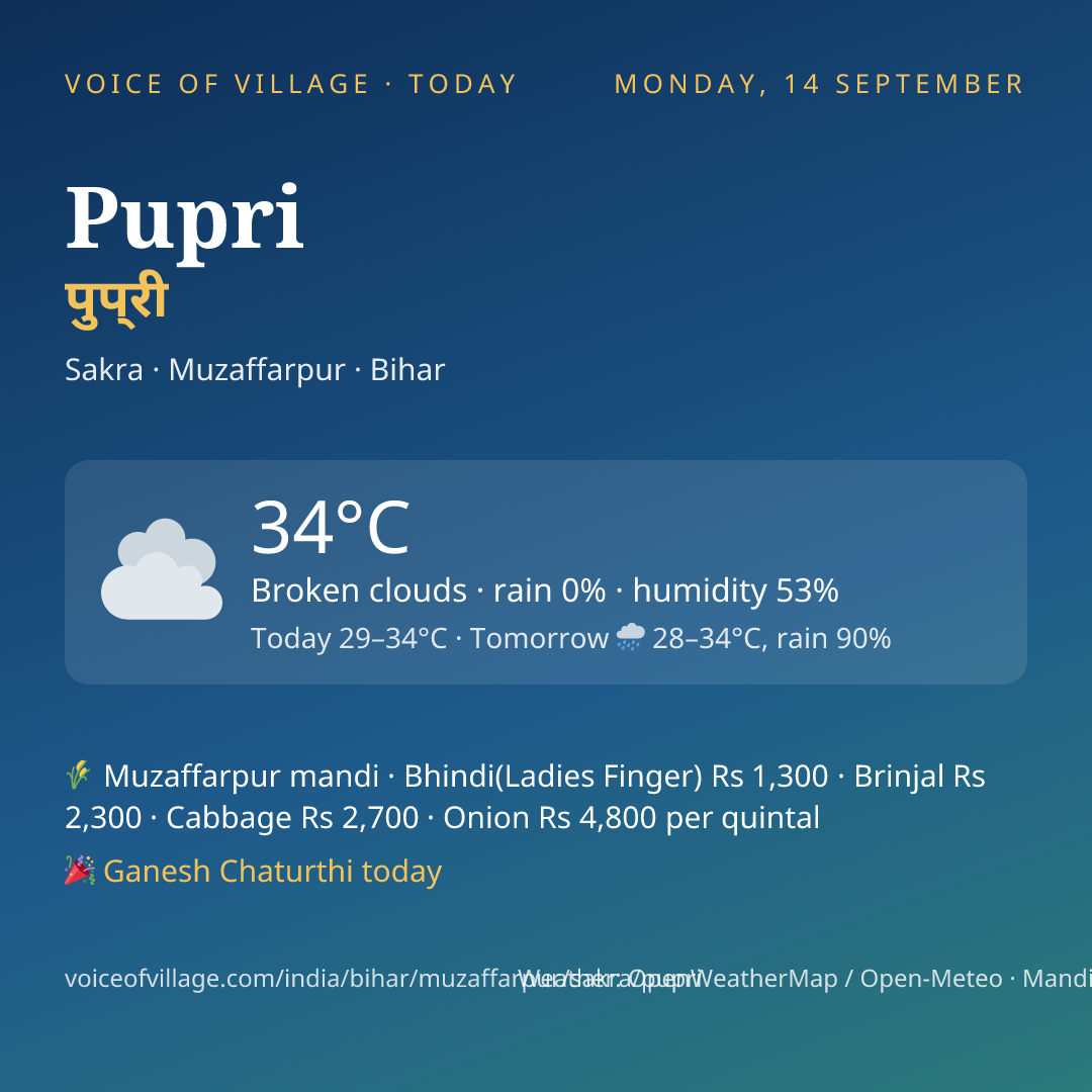 Pupri today