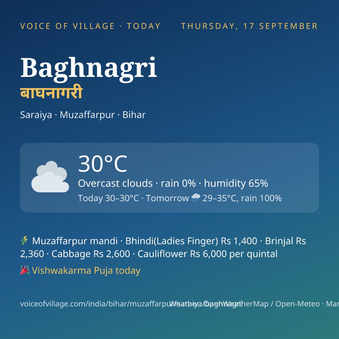 Baghnagri today