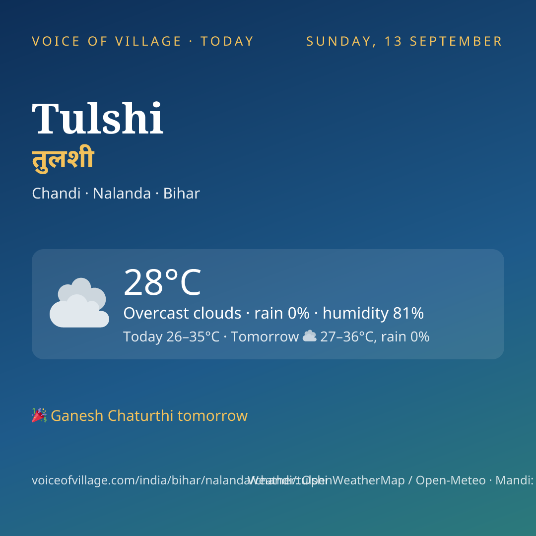 Tulshi today