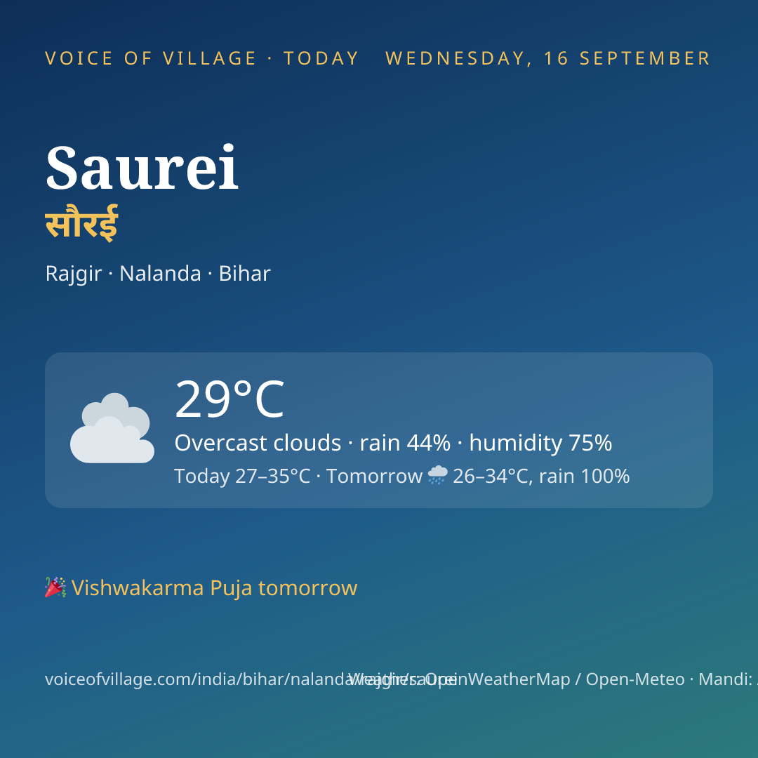 Saurei today