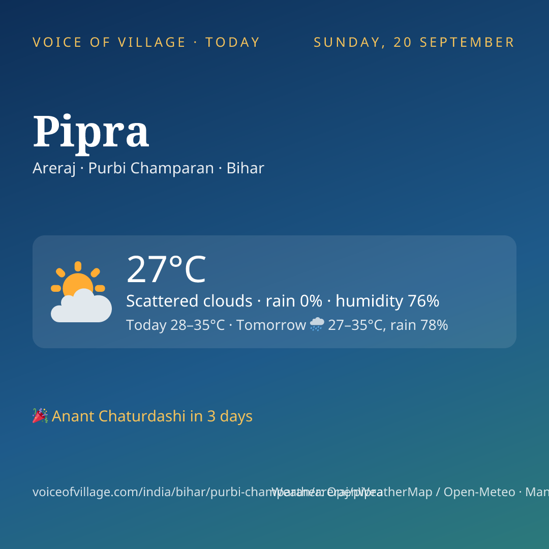 Pipra today