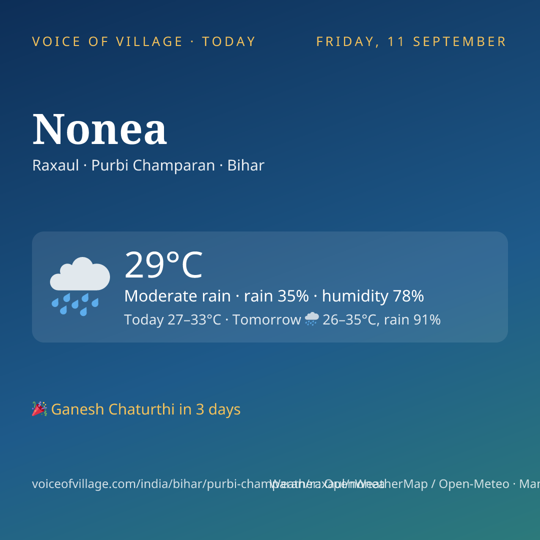 Nonea today