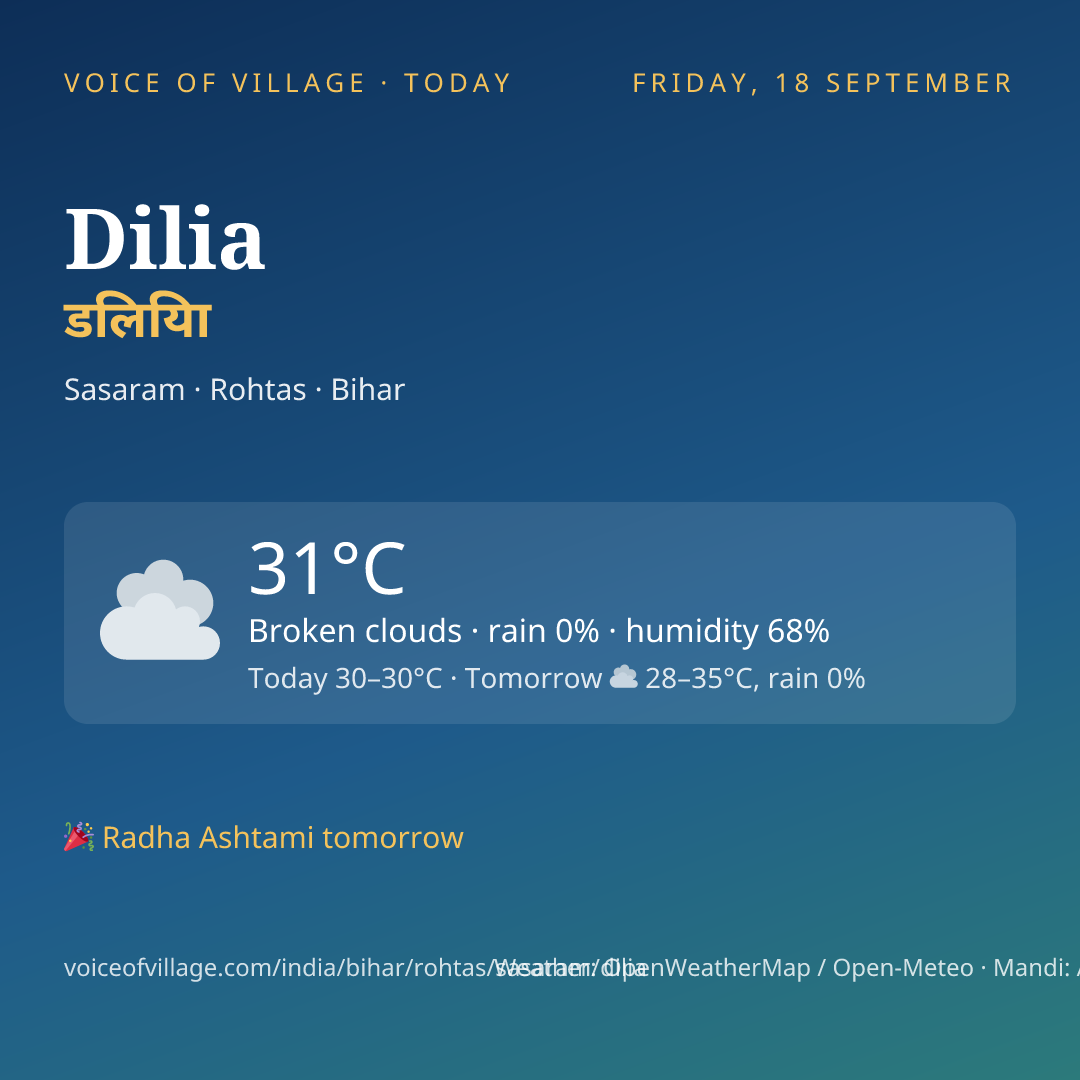 Dilia today