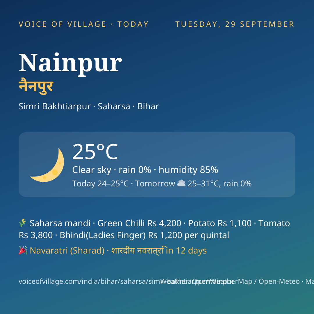 Nainpur today