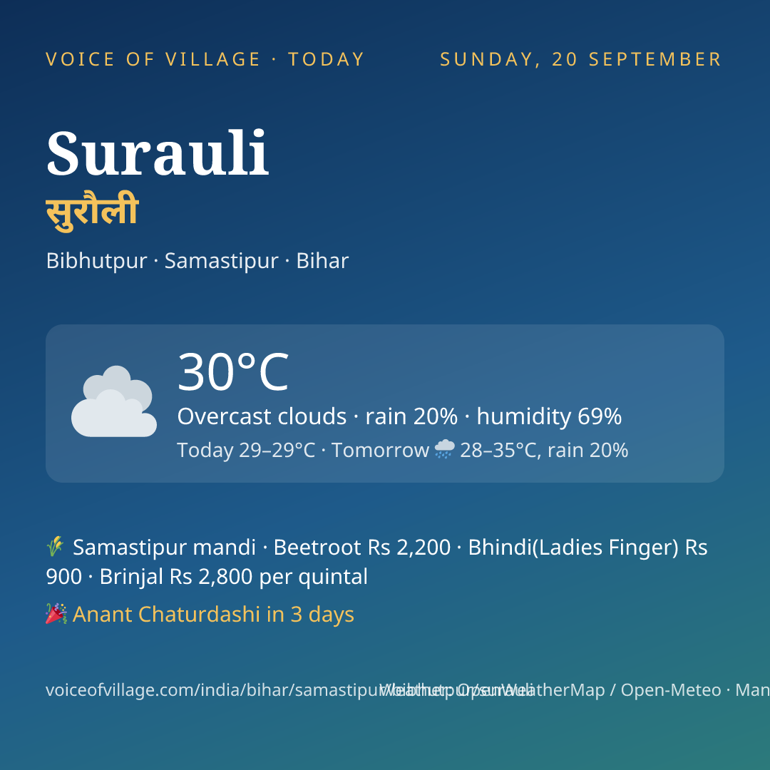 Surauli today