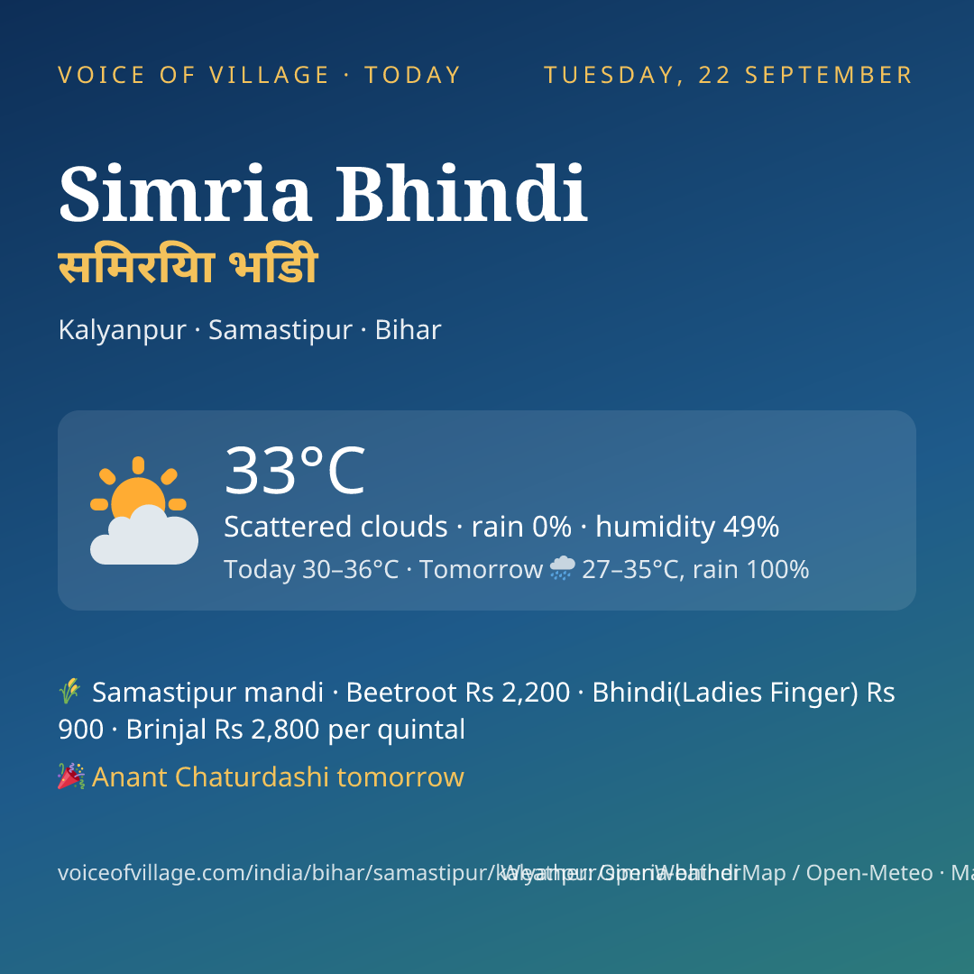 Simria Bhindi today