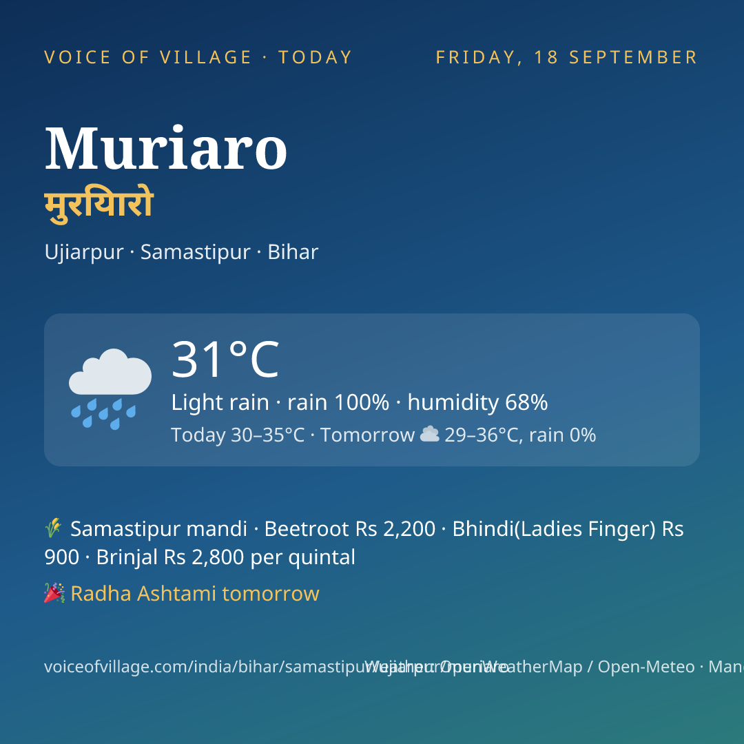 Muriaro today