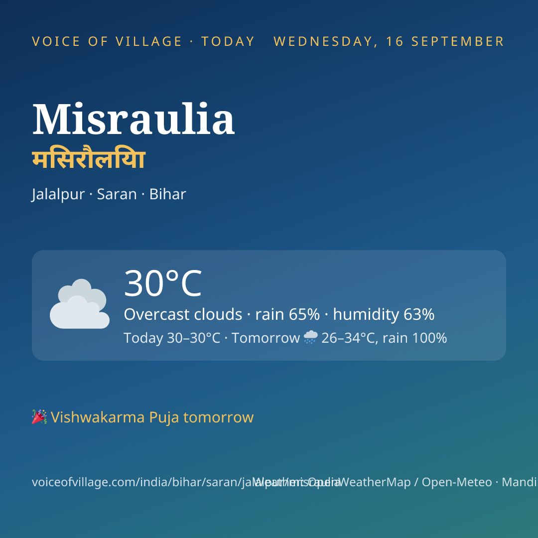 Misraulia today