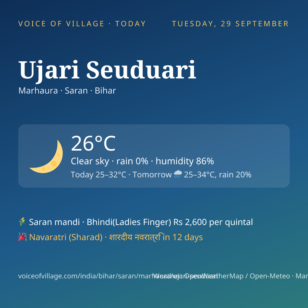 Ujari Seuduari today