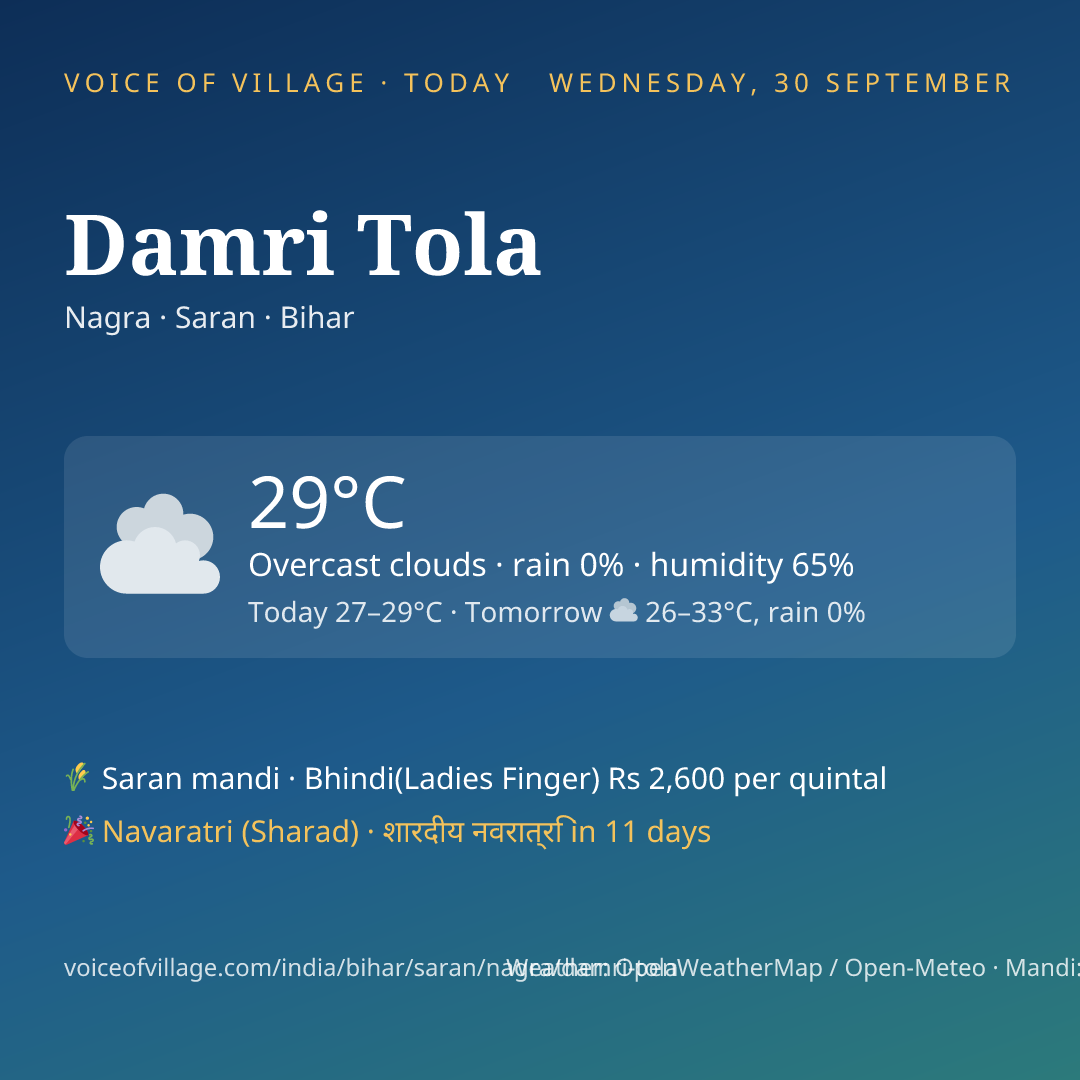 Damri Tola today