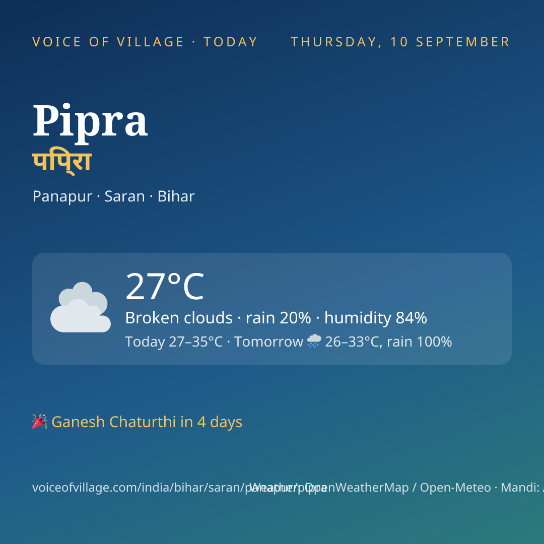 Pipra today