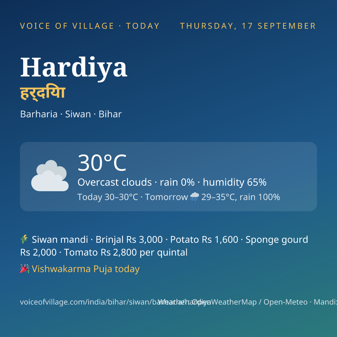Hardiya today