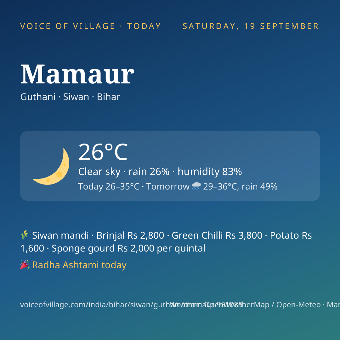 Mamaur today