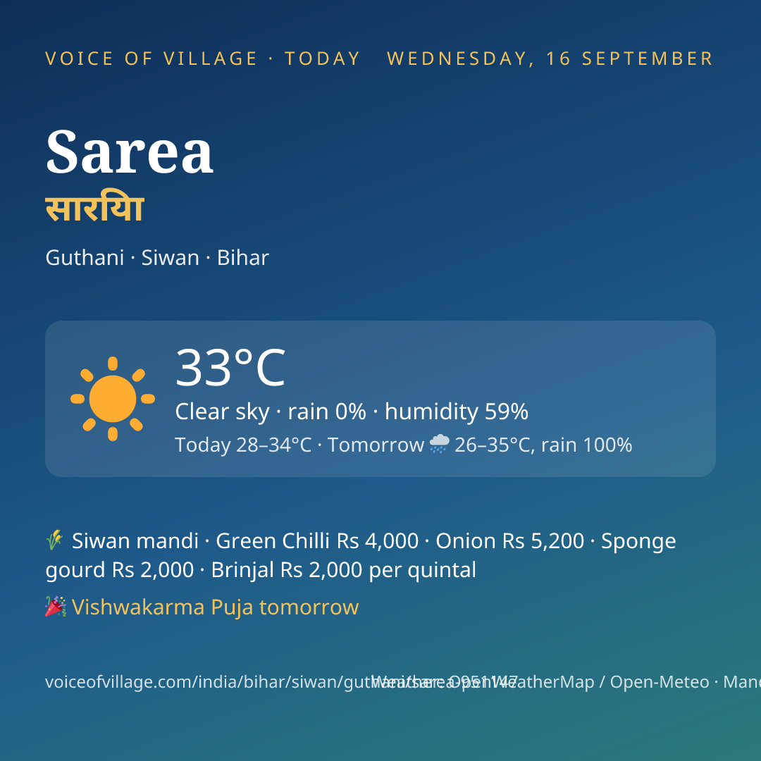 Sarea today