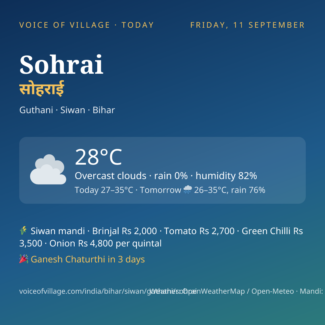 Sohrai today