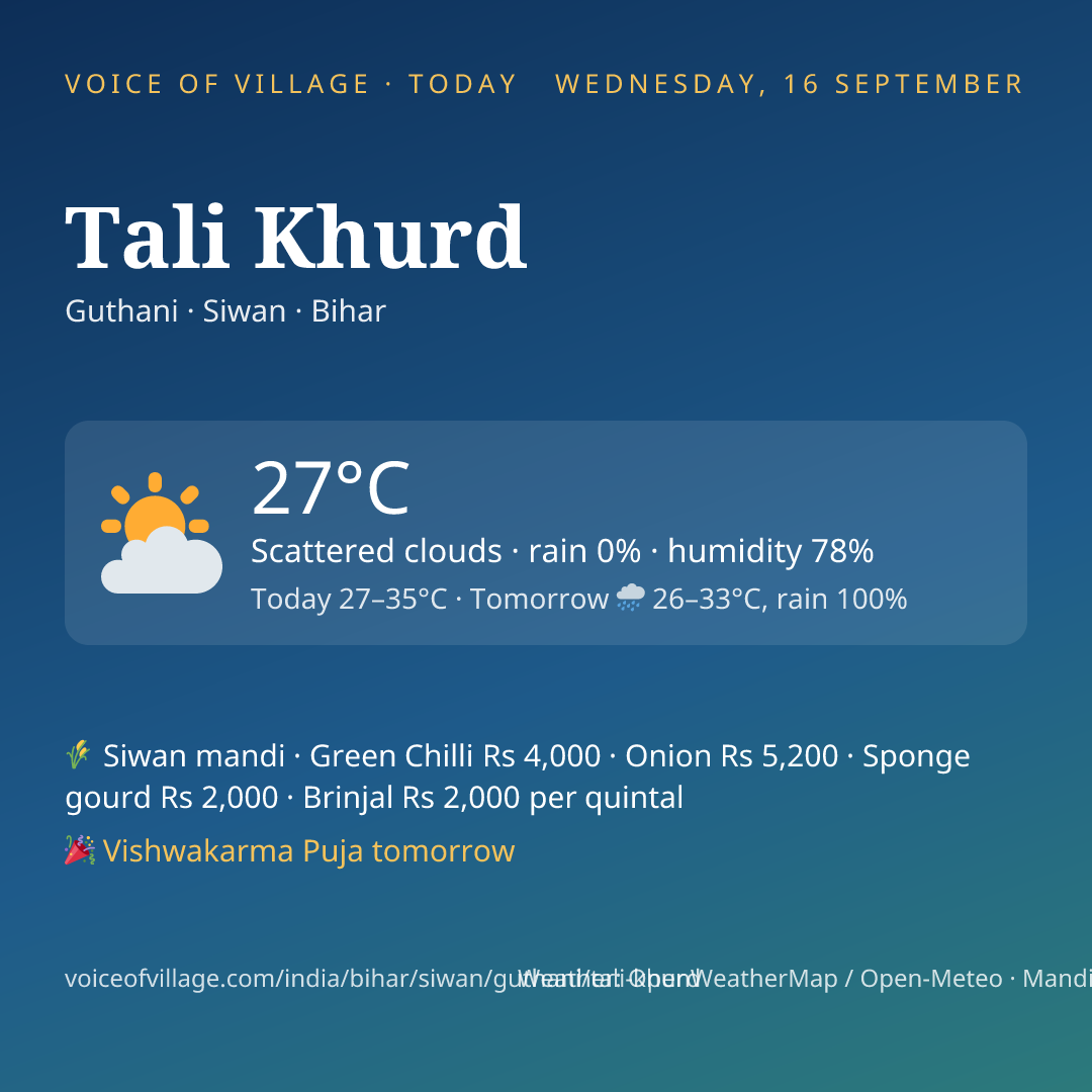 Tali Khurd today