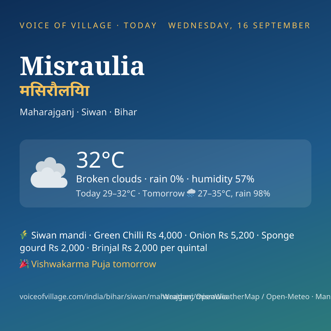 Misraulia today