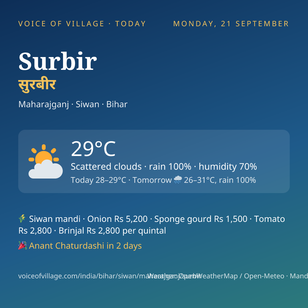Surbir today