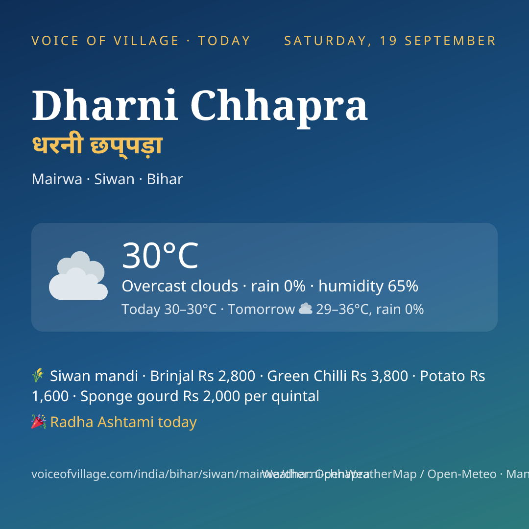 Dharni Chhapra today