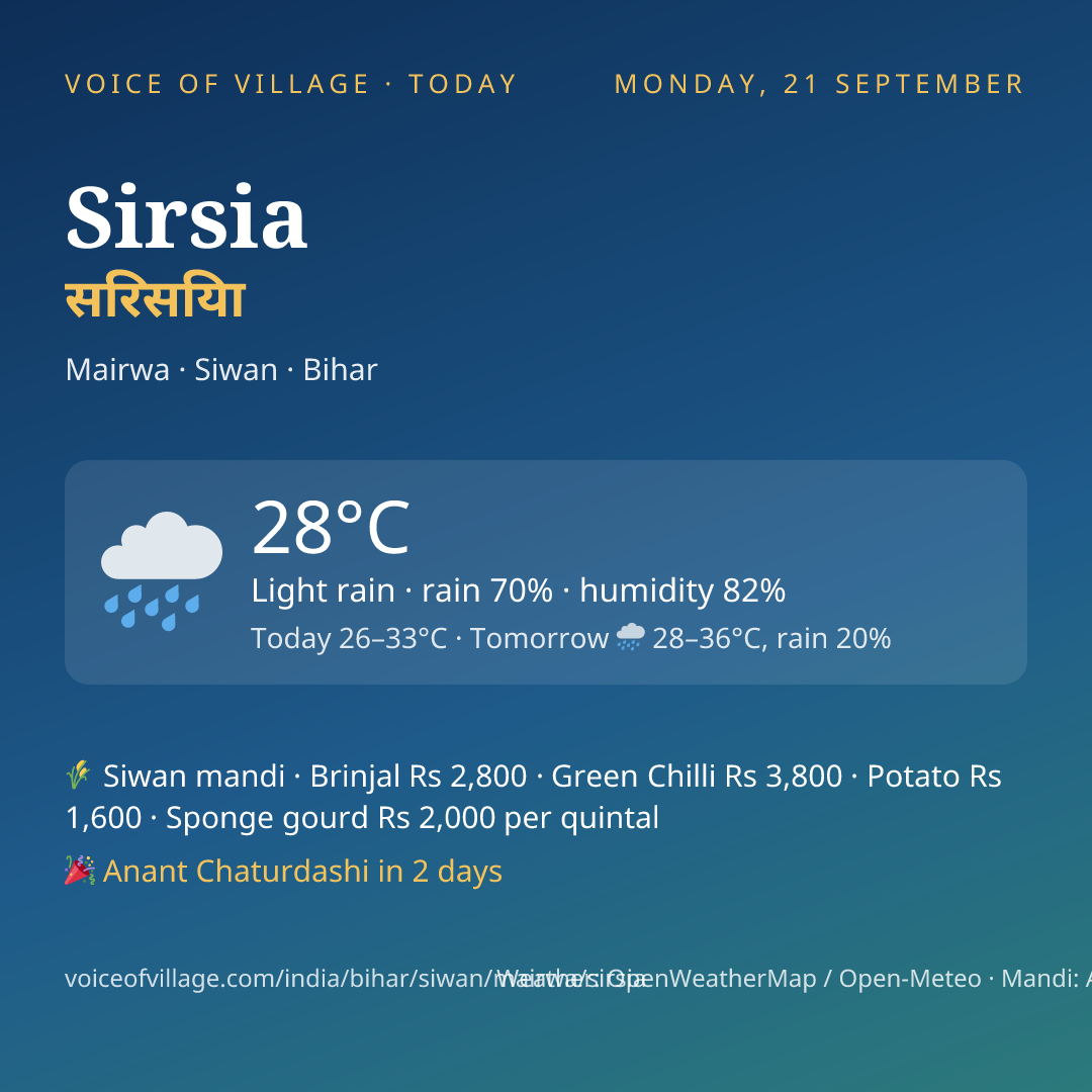 Sirsia today