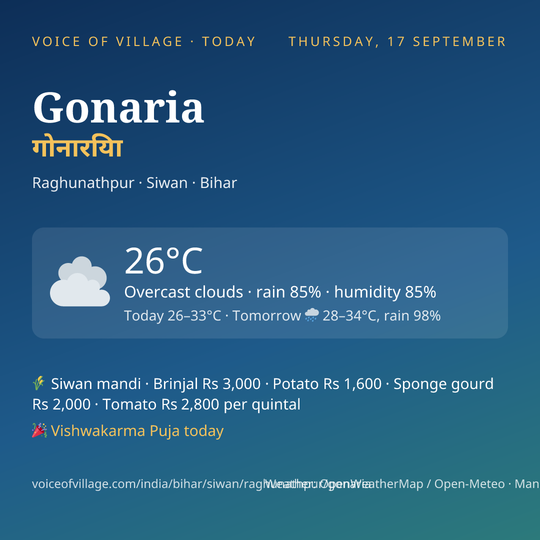 Gonaria today