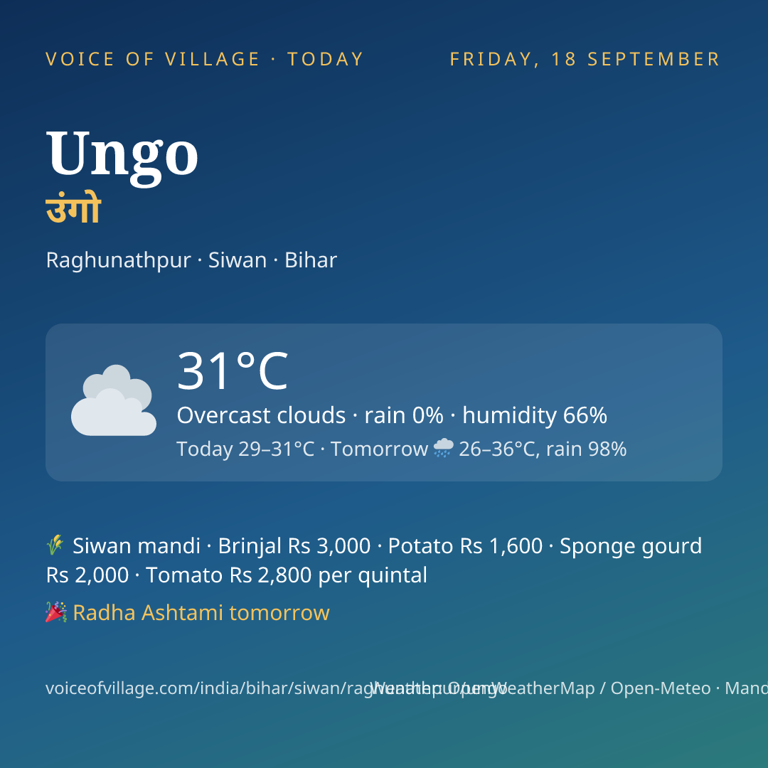 Ungo today