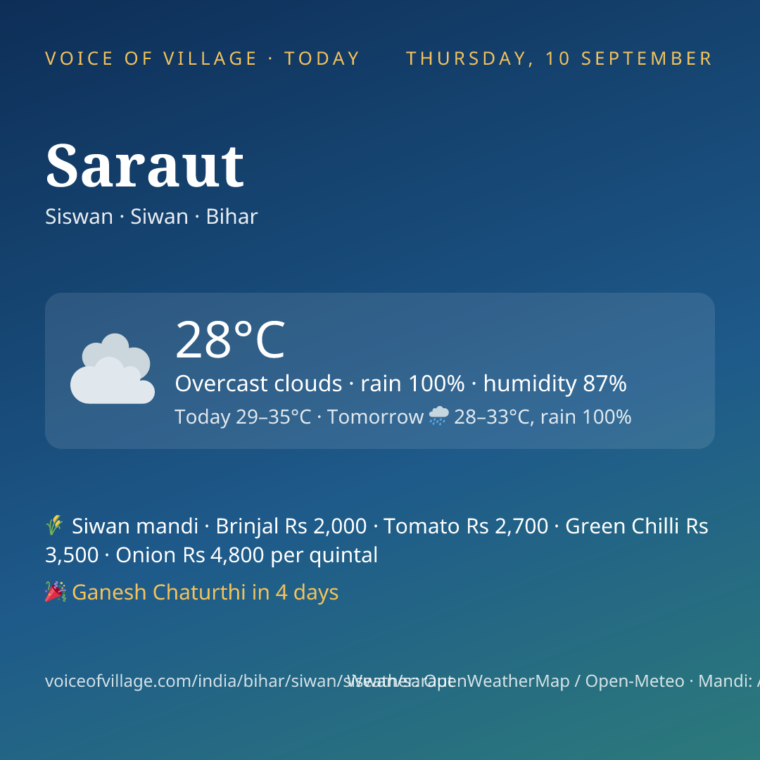 Saraut today