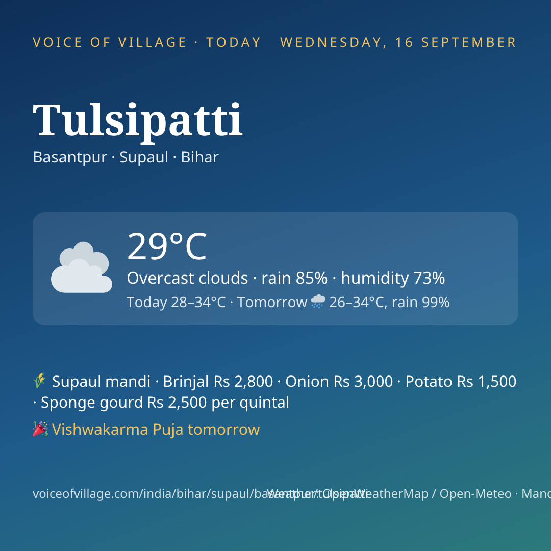 Tulsipatti today